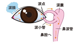 涙道洗浄